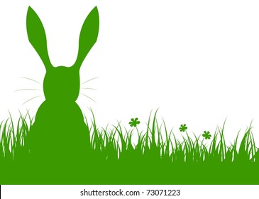 rabbit on a meadow