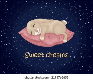 Conejo en la almohada. Dulces sueños. La imagen de un conejo lindo sobre una almohada suave. Una liebre dormida sobre una almohada en el fondo del cielo estrellado. Ilustración del vector