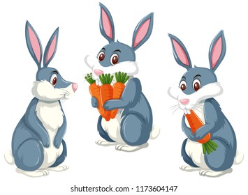 Un conejo en la ilustración de fondo blanco
