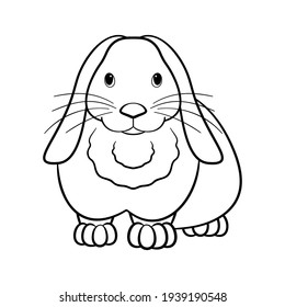 Rabbit is on white background. Illustration for coloring book.