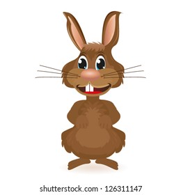 Rabbit on a white background isolated