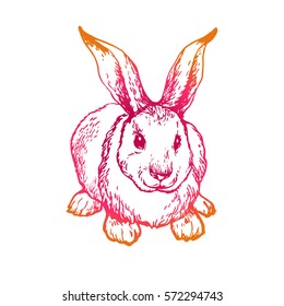 Rabbit outline hand drawn stock vector illustration. Bunny line art sketch. Hare coloring book page