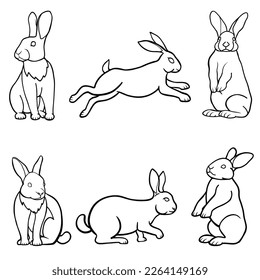 Rabbit outline vector set, bunny collection in different position isolated on white background. Outline, line art good for label, icon, symbol, coloring book