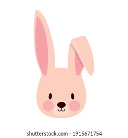 rabbit over a white background vector illustration design