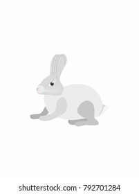 Rabbit painted on a white background