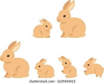 Rabbit parents and children illustration set