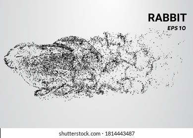 Rabbit from particles. A rabbit consisting of circles and dots. The rabbit splits into molecules.