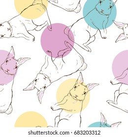 rabbit pattern , vector, illustration