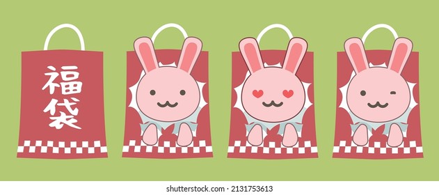 Rabbit peeking out of a paper bag from a New Year's sale.
The Japanese word on the paper bag means "lucky bag.