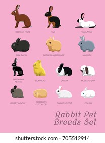 Rabbit Pet Breeds Set Cartoon Vector Illustration