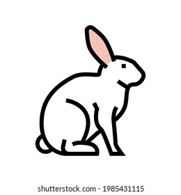 rabbit pet color icon vector. rabbit pet sign. isolated symbol illustration