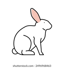 rabbit pet color icon vector. rabbit pet sign. isolated symbol illustration