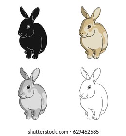 Rabbit is a pet. The rabbit has long ears. The rabbit has a fluffy fur.
Animals single icon in cartoon style vector symbol stock illustration web.