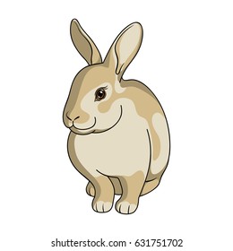 Rabbit is a pet. A rabbit with long ears. The fur of the rabbit is gray.Animals single icon in cartoon style vector symbol stock illustration web.