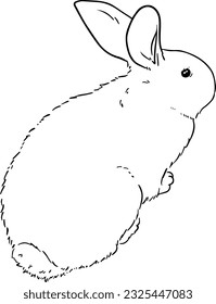 rabbit pet rodent doodle linear cartoon coloring