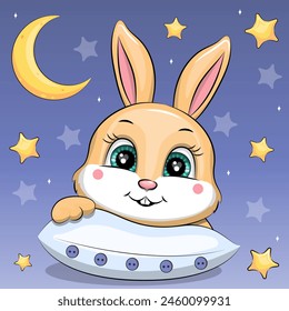 Rabbit with a pillow. Cute cartoon night vector illustration on blue background with stars and moon.