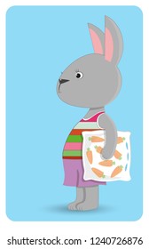 rabbit with a pillow illustration