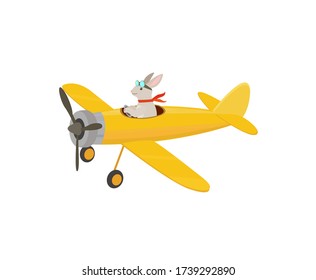 Rabbit pilot on a propeller plane.