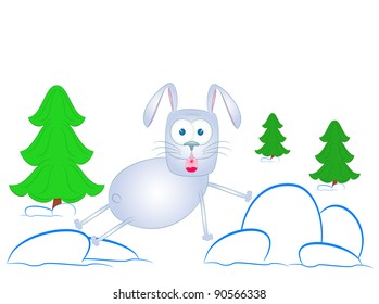 rabbit in a pine forest