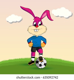 Rabbit Playing Football in a football field