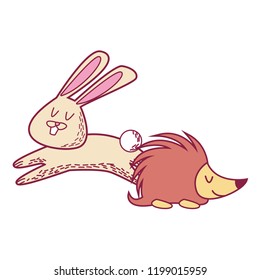Rabbit and porcupine