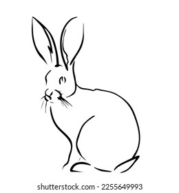 Rabbit portrait drawn in ink, vector illustration, quick sketch, line art