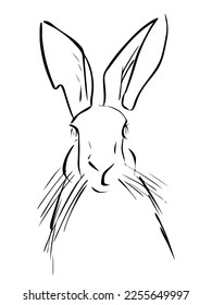 Rabbit portrait drawn in ink, vector illustration, quick sketch, line art