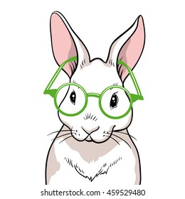 Rabbit portrait with green glasses isolated