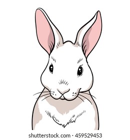 Rabbit portrait isolated