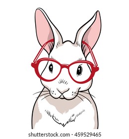 Rabbit portrait with red glasses isolated. Rabbit on a white background. Cute rabbit cartoon. Rabbit vector. 