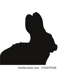 rabbit portrait vector illustration, silhouette drawing, vector, white background