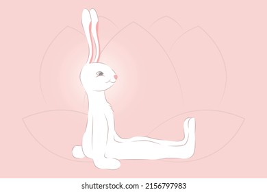 Rabbit practising Yoga Dangasana Staff or Base Pose Standing on legs