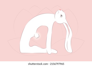 Rabbit practising Yoga Ushtrasana Camel Pose