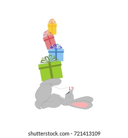 Rabbit with presents on the white background. Vector illustration