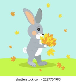 rabbit rejoices in autumn leaf fall
