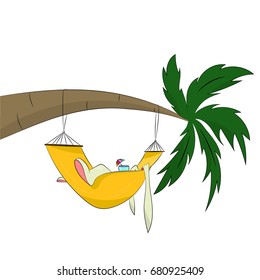 A rabbit resting in a hammock