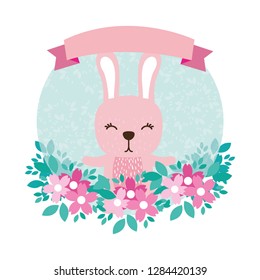 rabbit round icon