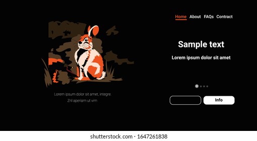 rabbit running from forest fires in australia animals dying in wildfire bushfire natural disaster concept intense orange flames horizontal copy space vector illustration