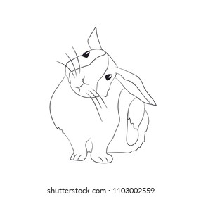 rabbit scratching ear lines, vector, white background
