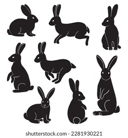 Rabbit Set, Isolated On White Background