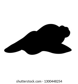Rabbit shadow Isolated cute on black white scene vector illustration
Easter