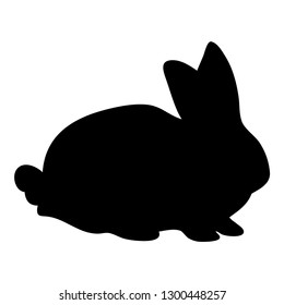 Rabbit shadow Isolated cute on black white scene vector illustration
Easter