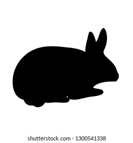 Rabbit shadow Isolated cute on black white scene vector illustration
Easter
