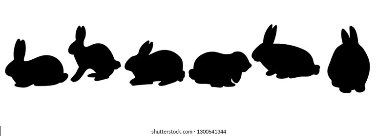 Rabbit shadow Isolated cute on black white scene vector illustration
Easter