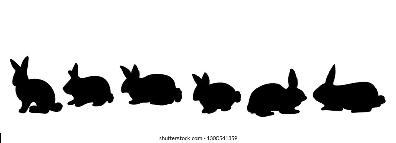 Rabbit shadow Isolated cute on black white scene vector illustration
Easter