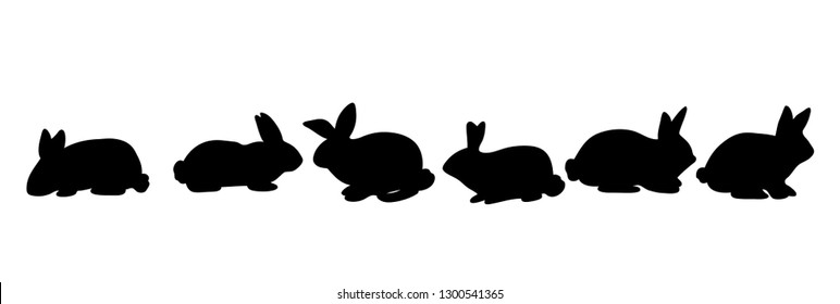 Rabbit shadow Isolated cute on black white scene vector illustration
Easter