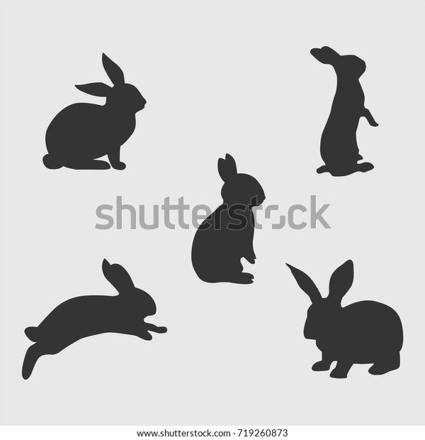 Rabbit\
Silhouette