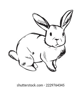 Rabbit silhouette isolated on white background. Black vector art of a bunny. Simple vector illustration of an animal. Bunny Vector illustration. Cute Rabbit silhouette logo isolated