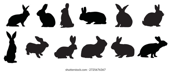 rabbit silhouette on white background