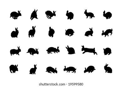 rabbit silhouettes, collection for designers